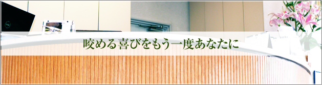 咬める喜びをもう一度あなたに